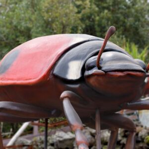 Insetti Giganti