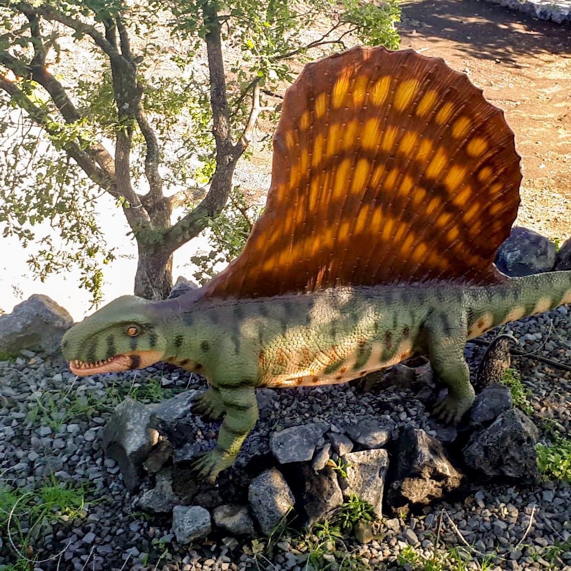 Dimetrodon 02 - Sicilia in Miniatura