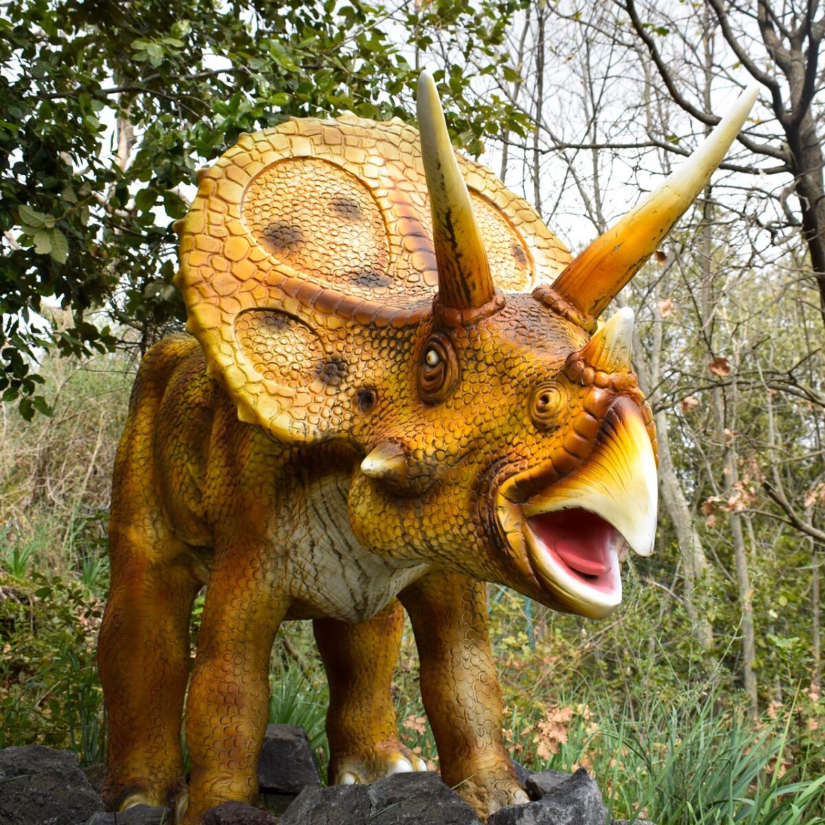 Triceratops cretaceo 01 - Sicilia in Miniatura